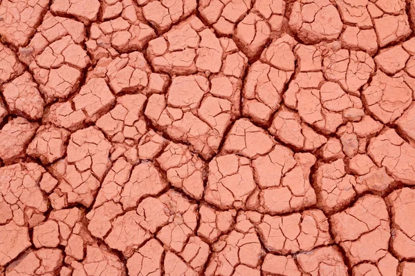 Cracked Ground Dry Earth Dry Land Texture Background — Stock Photo, Image