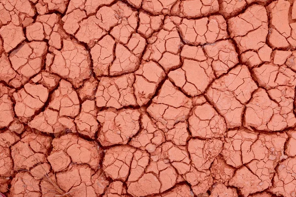 Cracked Ground Dry Earth Dry Land Texture Background — Stock Photo, Image