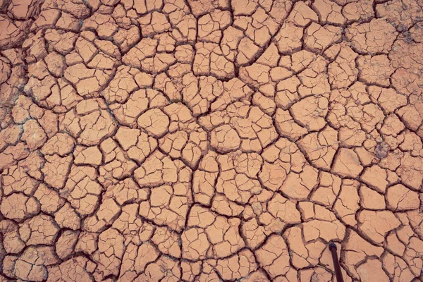 Cracked Ground Dry Earth Dry Land Texture Background — Stock Photo, Image