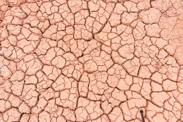 Cracked Terra Asciutta Terra Terra Asciutta Texture Sfondo — Foto Stock