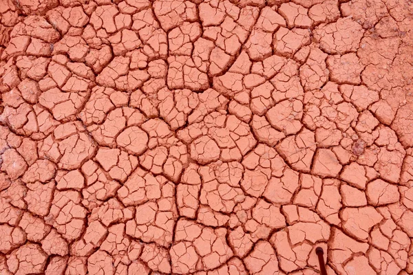 Cracked Ground Dry Earth Dry Land Texture Background — Stock Photo, Image