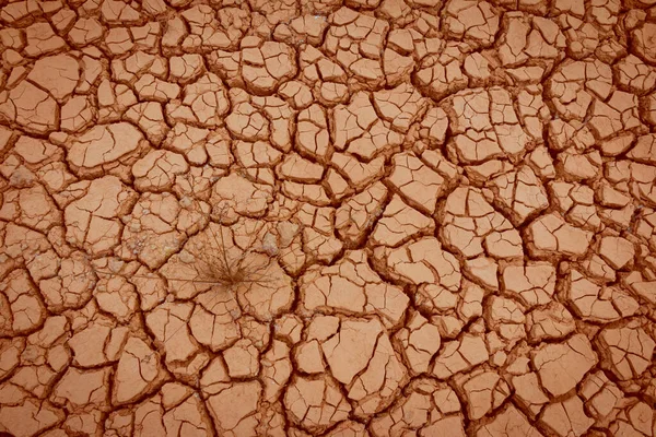 Cracked Ground Dry Earth Dry Land Texture Background — Stock Photo, Image