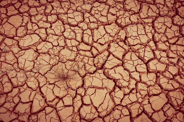 地面乾燥地乾燥地テクスチャの背景 — ストック写真