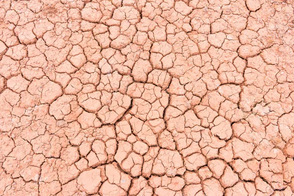 Cracked Ground Dry Earth Dry Land Texture Background — Stock Photo, Image