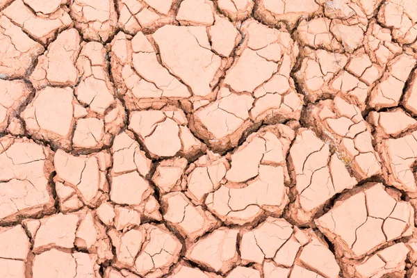 Cracked Ground Dry Earth Dry Land Texture Background — Stock Photo, Image