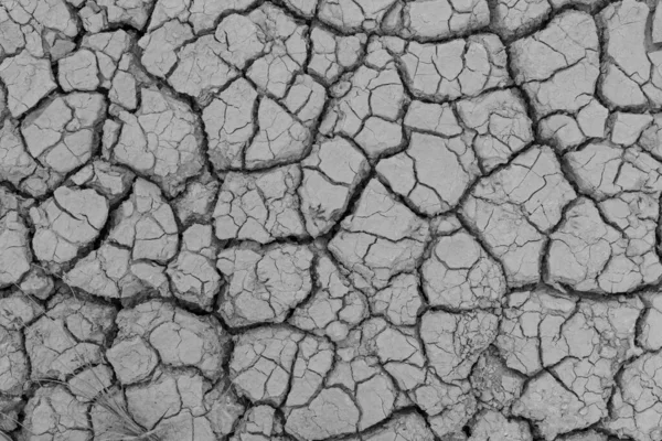 Cracked Ground Dry Earth Dry Land Texture Background Royalty Free Stock Images