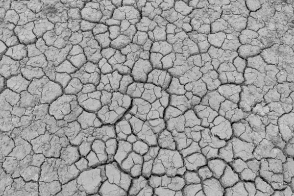 Cracked Ground Dry Earth Dry Land Texture Background Stock Image