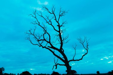 Mavi vintage ağaç silueti manzara