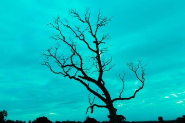 Mavi vintage ağaç silueti manzara