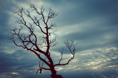 Klasik ağaç silueti manzara arkaplanı