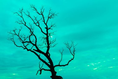 Mavi vintage ağaç silueti manzara