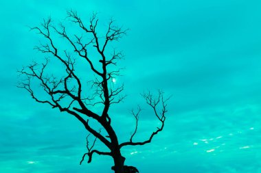 Mavi vintage ağaç silueti manzara