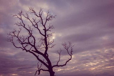 Klasik ağaç silueti manzara arkaplanı