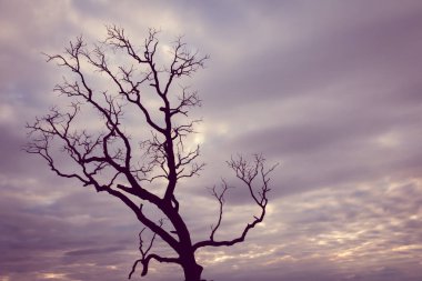 Klasik ağaç silueti manzara arkaplanı