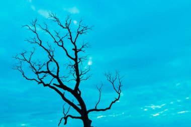 Mavi vintage ağaç silueti manzara