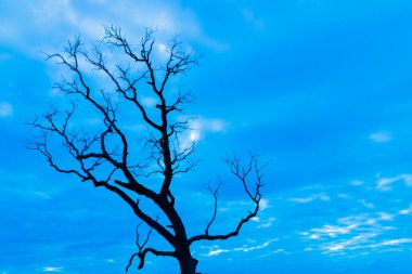 Mavi vintage ağaç silueti manzara