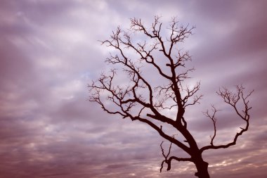 Klasik ağaç silueti manzara arkaplanı