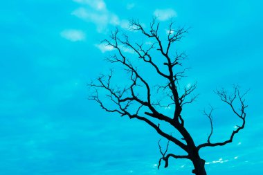 Mavi vintage ağaç silueti manzara