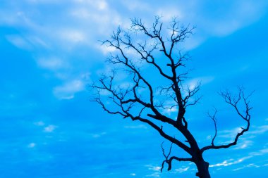 Mavi vintage ağaç silueti manzara