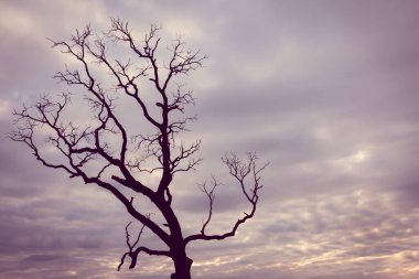 Klasik ağaç silueti manzara arkaplanı