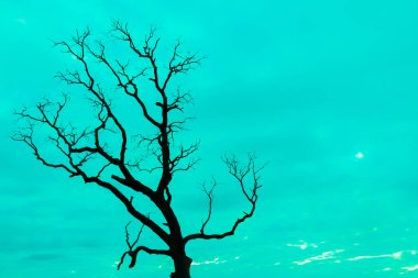 Mavi vintage ağaç silueti manzara