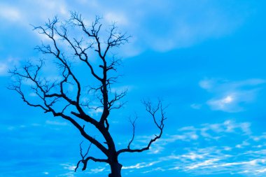 Mavi vintage ağaç silueti manzara