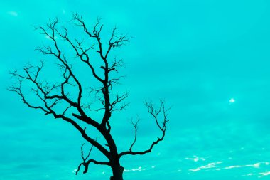 Mavi vintage ağaç silueti manzara