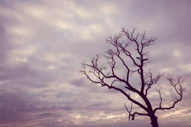 Klasik ağaç silueti manzara arkaplanı