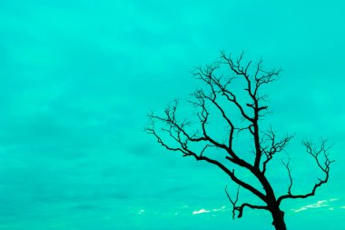 Mavi vintage ağaç silueti manzara