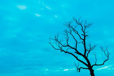 Mavi vintage ağaç silueti manzara