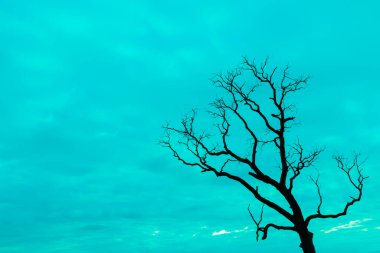 Mavi vintage ağaç silueti manzara