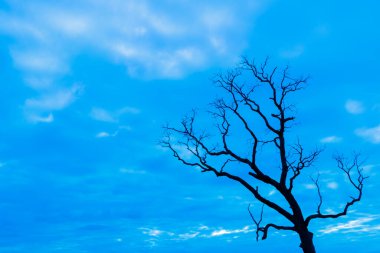Mavi vintage ağaç silueti manzara