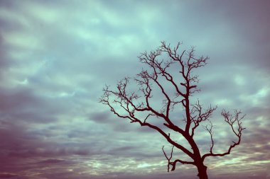 Klasik ağaç silueti manzara arkaplanı