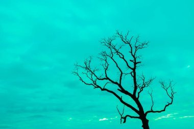 Mavi vintage ağaç silueti manzara