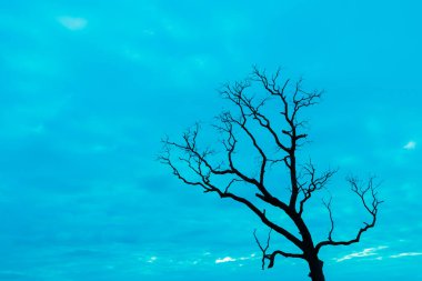 Mavi vintage ağaç silueti manzara