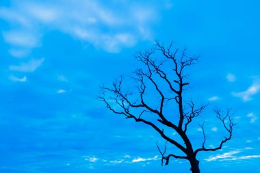 Mavi vintage ağaç silueti manzara