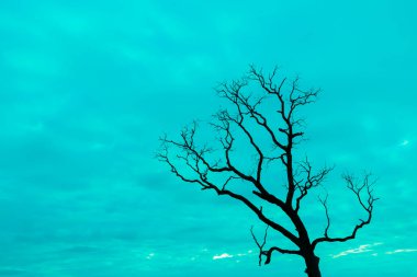 Mavi vintage ağaç silueti manzara