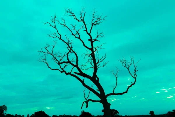 Mavi vintage ağaç silueti manzara