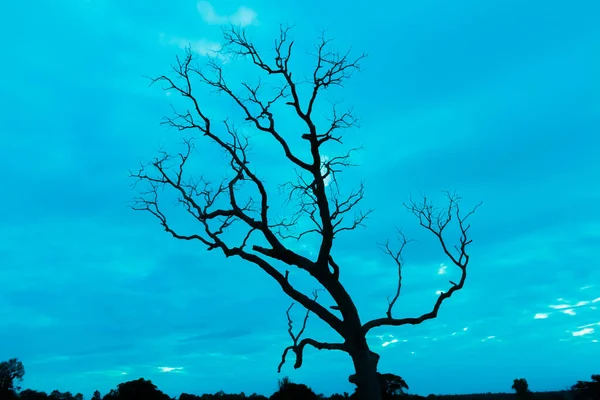 Mavi vintage ağaç silueti manzara