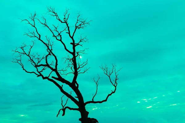 Mavi vintage ağaç silueti manzara