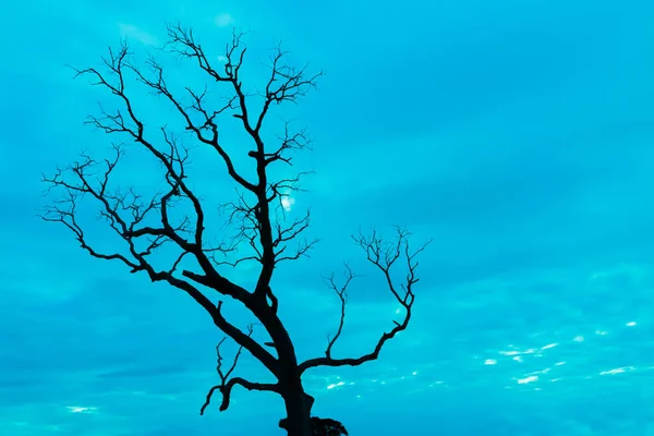 Mavi vintage ağaç silueti manzara
