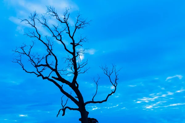 Μπλε Vintage Δέντρο Σιλουέτα Τοπίο Φόντο — Φωτογραφία Αρχείου