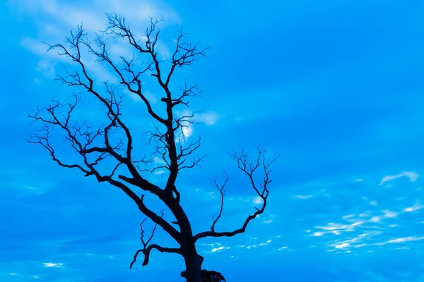 Blu Vintage Albero Silhouette Paesaggio Sfondo — Foto Stock