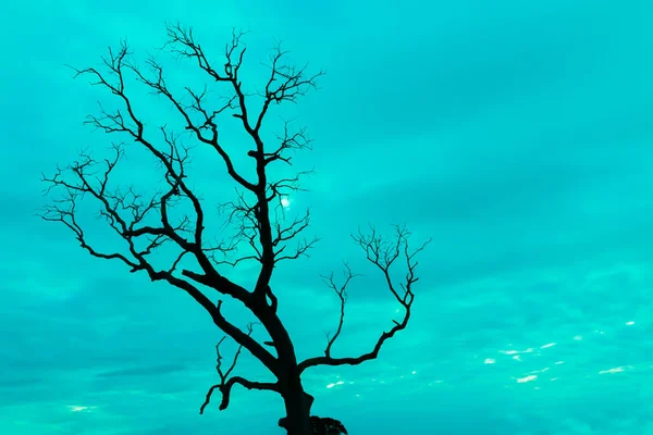Mavi vintage ağaç silueti manzara