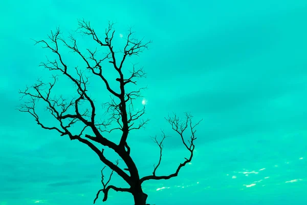 Mavi vintage ağaç silueti manzara