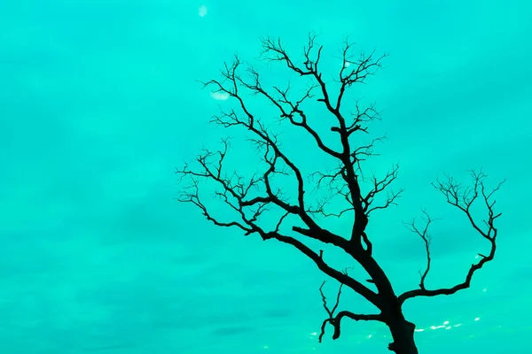 Blau Jahrgang Baum Silhouette Landschaft Hintergrund — Stockfoto