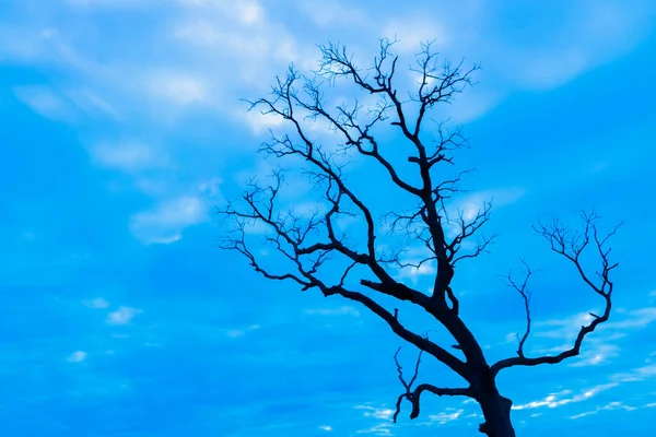 Mavi vintage ağaç silueti manzara