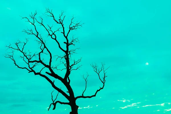 Mavi vintage ağaç silueti manzara