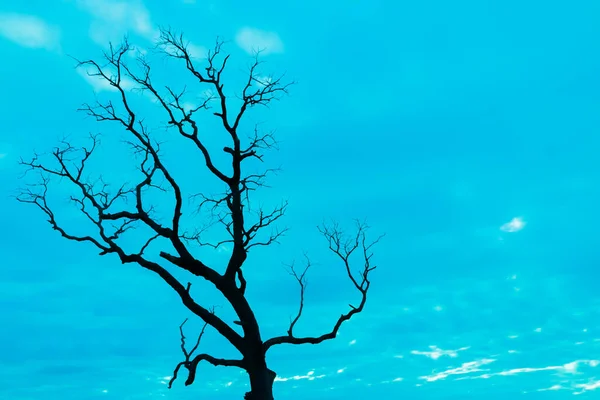 Mavi vintage ağaç silueti manzara