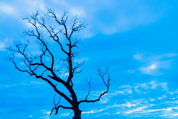 Mavi vintage ağaç silueti manzara